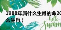 1988年屬什么生肖的命2023(1988年屬什么生肖)
