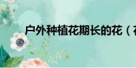 戶外種植花期長的花(花期長的花)