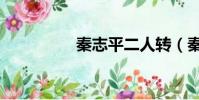 秦志平二人轉(秦志平)