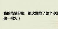 我的熱情好像一把火燃燒了整個沙漠女生獨白(我的熱情好像一把火)