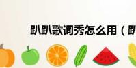 趴趴歌詞秀怎么用(趴趴歌詞秀)