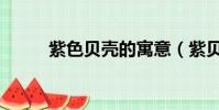 紫色貝殼的寓意(紫貝殼的傳說)