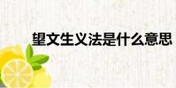 望文生義法是什么意思(望文生義)