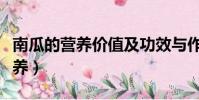 南瓜的營養價值及功效與作用禁忌(南瓜的營養)