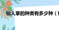 仙人掌的種類有多少種(仙人掌的種類)