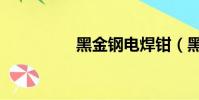 黑金鋼電焊鉗(黑金鋼)