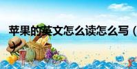 蘋果的英文怎么讀怎么寫(蘋果的英文怎么讀)