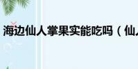 海邊仙人掌果實能吃嗎(仙人掌果實能吃嗎)