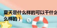 夏天是什么樣的可以干什么一年級(夏天是什么樣的)