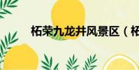 柘榮九龍井風景區(柘榮九龍井)