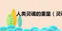 人類靈魂的重量(靈魂的重量)