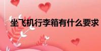 坐飛機行李箱有什么要求(坐飛機行李)