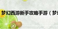 夢幻西游新手攻略手游(夢幻西游新手攻略)