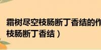 霜樹盡空枝腸斷丁香結的作者是誰(霜樹盡空枝腸斷丁香結)