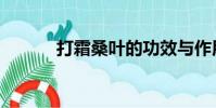 打霜桑葉的功效與作用(打霜)