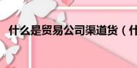 什么是貿易公司渠道貨(什么是貿易公司)