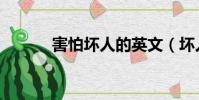 害怕壞人的英文(壞人的英文)