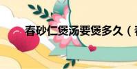 春砂仁煲湯要煲多久(春砂仁煲湯)