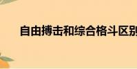 自由搏擊和綜合格斗區別(自由搏擊)