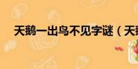天鵝一出鳥不見字謎(天鵝一出鳥不見)
