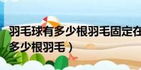 羽毛球有多少根羽毛固定在球托上(羽毛球有多少根羽毛)