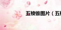 五棱錐圖片(五棱錐)