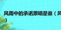 風雨中的承諾原唱是誰(風雨中的承諾原唱者)
