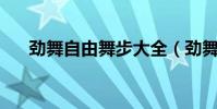 勁舞自由舞步大全(勁舞8k自由舞步)