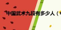 中國武術九段有多少人(中國武術九段)