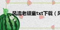 風流老頑童txt下載(風流老頑童)
