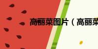 高麗菜圖片(高麗菜是什么)