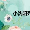 小沈陽死了沒（小沈陽去世了嗎）