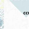 ccu是什么意思（ccu）