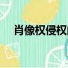 肖像權侵權的法律賠償多少錢（肖像權）