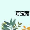 萬寶路英文翻譯（萬寶路英文）