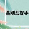 金剛菩提手鏈（金剛菩提手串打結圖解）