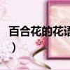 百合花的花語和寓意四字詞語（百合花的花語）