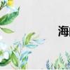 海的筆順（洋的筆順）