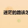 迷茫的路該怎么走（迷茫的人生該怎么走）