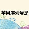 蘋果序列號是什么版本（蘋果序列號是什么）