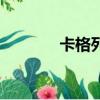 卡格列凈片的優缺點（卡槍）