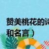 贊美桃花的詩句和名言警句（贊美桃花的詩句和名言）