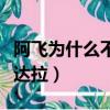 阿飛為什么不救迪達拉了（阿飛為什么不救迪達拉）