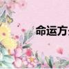 命運方舟巫女加點（巫女加點）