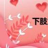 下肢力量訓練（下肢力量）