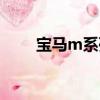 寶馬m系列是什么意思（寶馬m系）