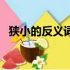 狹小的反義詞語是什么詞（狹小的反義詞）