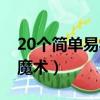 20個簡單易學的魔術動作（20個簡單易學的魔術）
