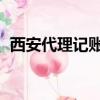 西安代理記賬公司哪家好（西安 代理記賬）