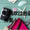 被風吹過的夏天 伴奏 缺女（被風吹過的夏天 伴奏）